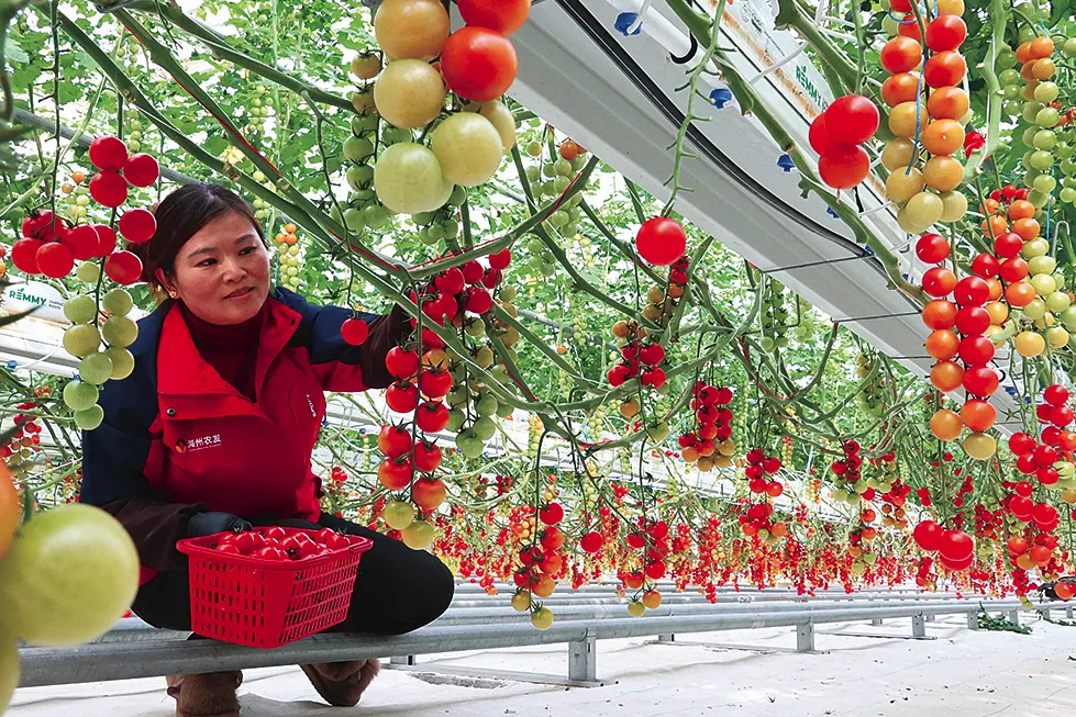 挖掘资源禀赋  打造特色名片 全面建设“大美浦南”文旅产业新高地(图1)