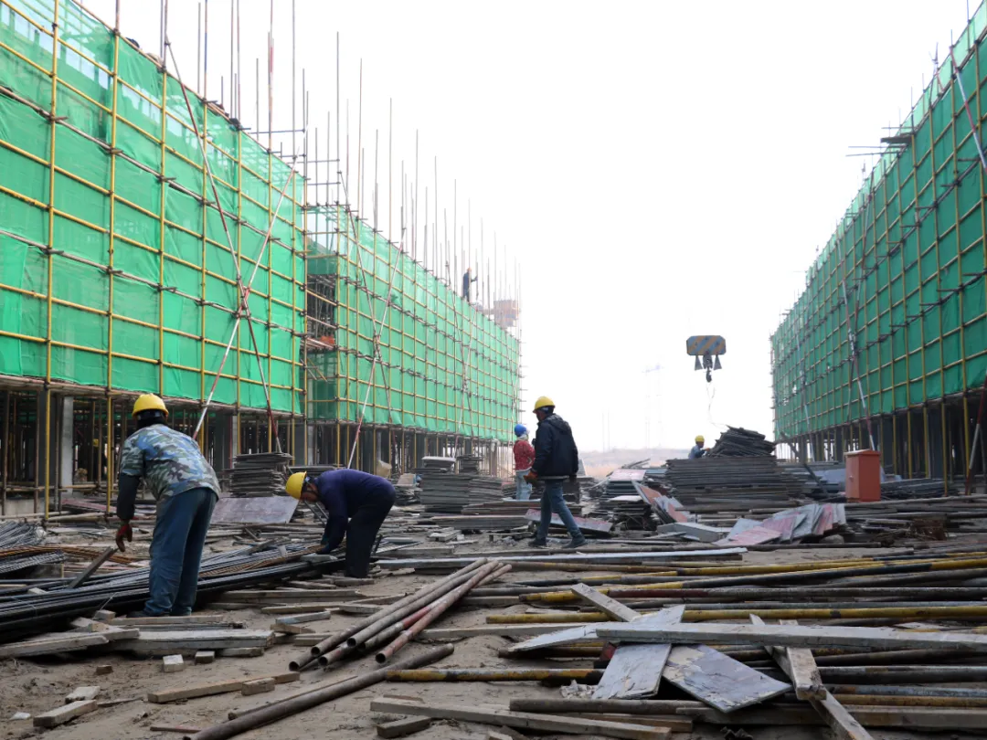 挖掘资源禀赋  打造特色名片 全面建设“大美浦南”文旅产业新高地(图2)