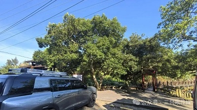 温州鹿西岛:邂逅时光里的诗意与宁静 (图4) 温州鹿西岛:邂逅时光里的诗意与宁静 (图4)