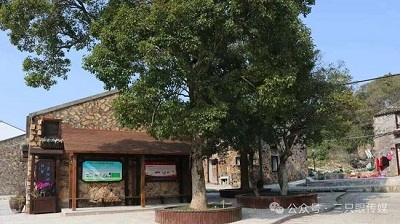 温州鹿西岛:邂逅时光里的诗意与宁静 (图5) 温州鹿西岛:邂逅时光里的诗意与宁静 (图5)