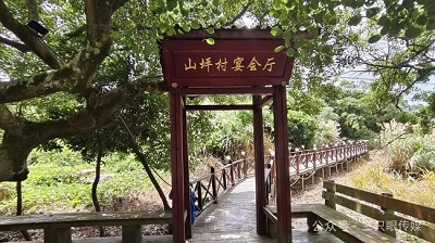 温州鹿西岛:邂逅时光里的诗意与宁静 (图6) 温州鹿西岛:邂逅时光里的诗意与宁静 (图6)