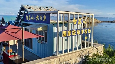 温州鹿西岛:邂逅时光里的诗意与宁静 (图15) 温州鹿西岛:邂逅时光里的诗意与宁静 (图15)
