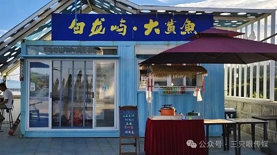 温州鹿西岛:邂逅时光里的诗意与宁静 (图16) 温州鹿西岛:邂逅时光里的诗意与宁静 (图16)