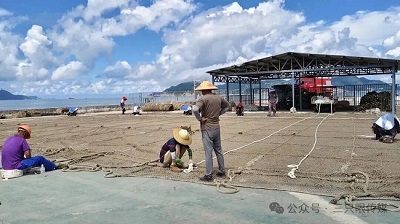温州鹿西岛:邂逅时光里的诗意与宁静 (图21) 温州鹿西岛:邂逅时光里的诗意与宁静 (图21)