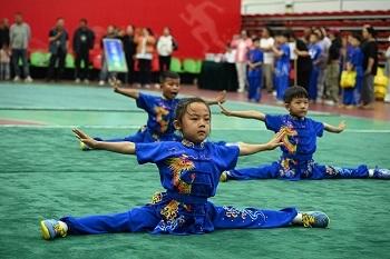 2026年灵丘县武术比赛圆满落幕(图4)