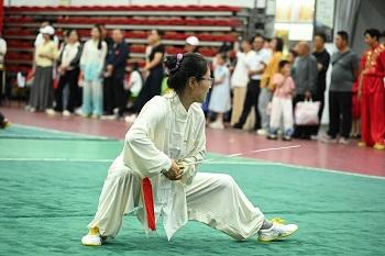 2026年灵丘县武术比赛圆满落幕(图6)