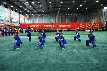 2026年灵丘县武术比赛圆满落幕(图7)