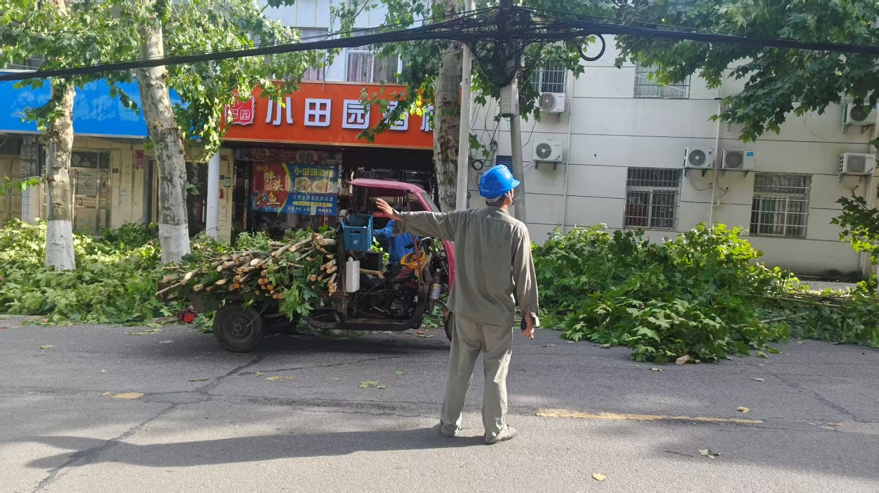湖北武汉新洲供电公司：  清理10千伏树障  筑牢迎峰度夏电网安全运行屏障(图2)